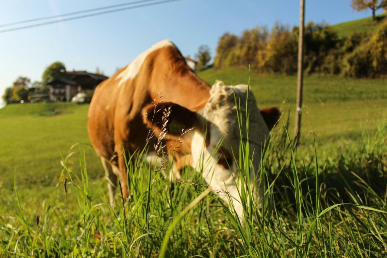 Putzerhof Villa Siusi Dış mekan fotoğraf